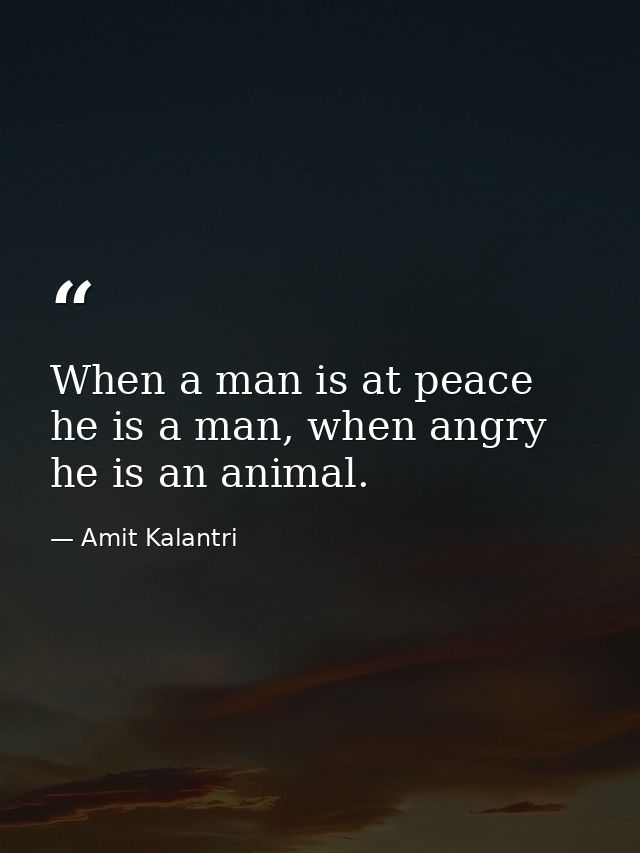 When a man is at peace he is a man, when angry he is an animal. — Amit Kalantri