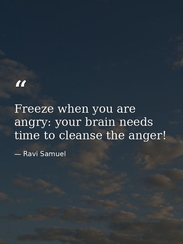 Freeze when you are angry: your brain needs time to cleanse the anger! — Ravi Samuel