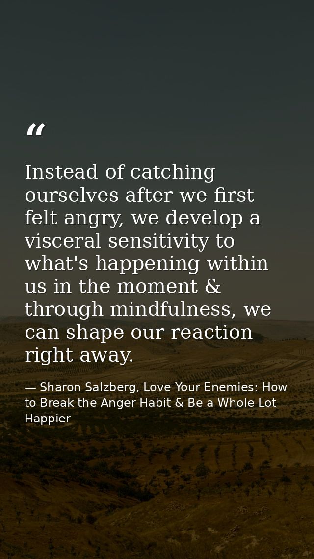 Instead of catching ourselves after we first felt angry, we develop a visceral sensitivity to what's happening within us — Sharon Salzberg, Love Your Enemies: How to Break the Anger Habit & Be a Whole Lot Happier