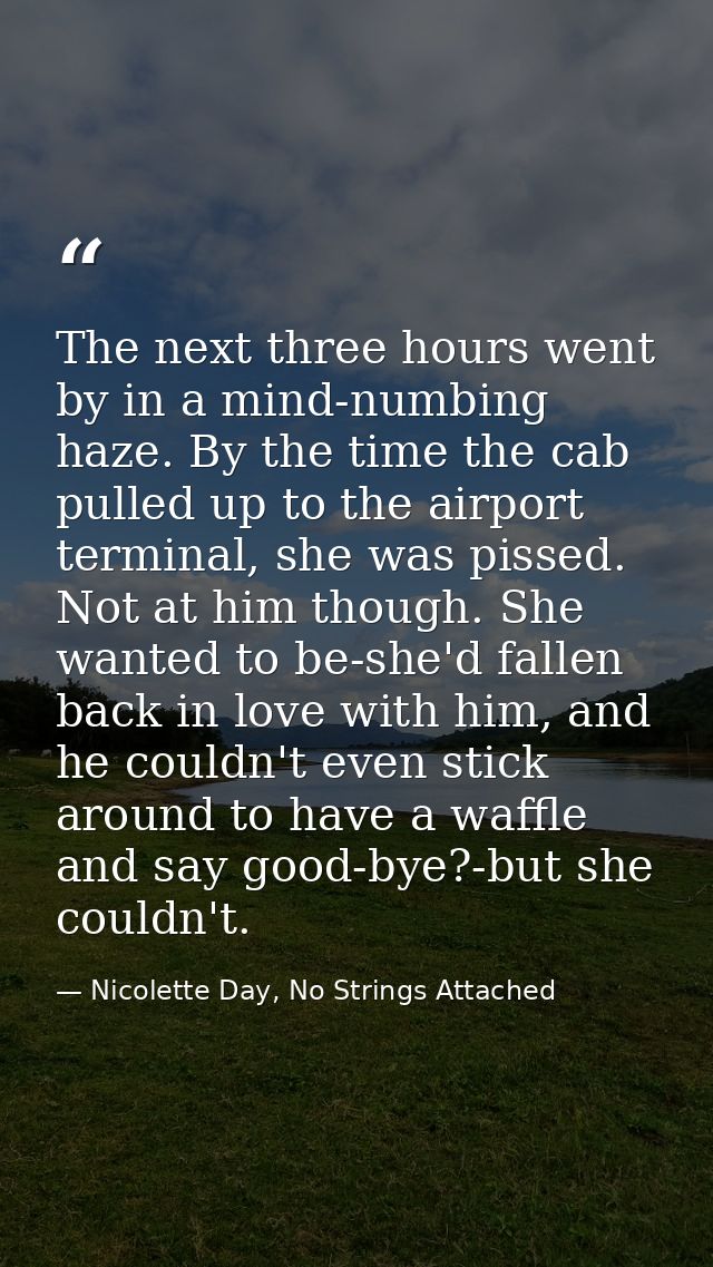 The next three hours went by in a mind-numbing haze. By the time the cab pulled up to the airport terminal, she was piss — Nicolette Day, No Strings Attached
