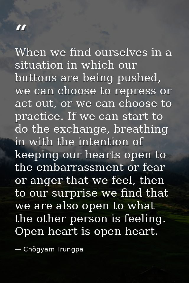 When we find ourselves in a situation in which our buttons are being pushed, we can choose to repress or act out, or we  — Chögyam Trungpa