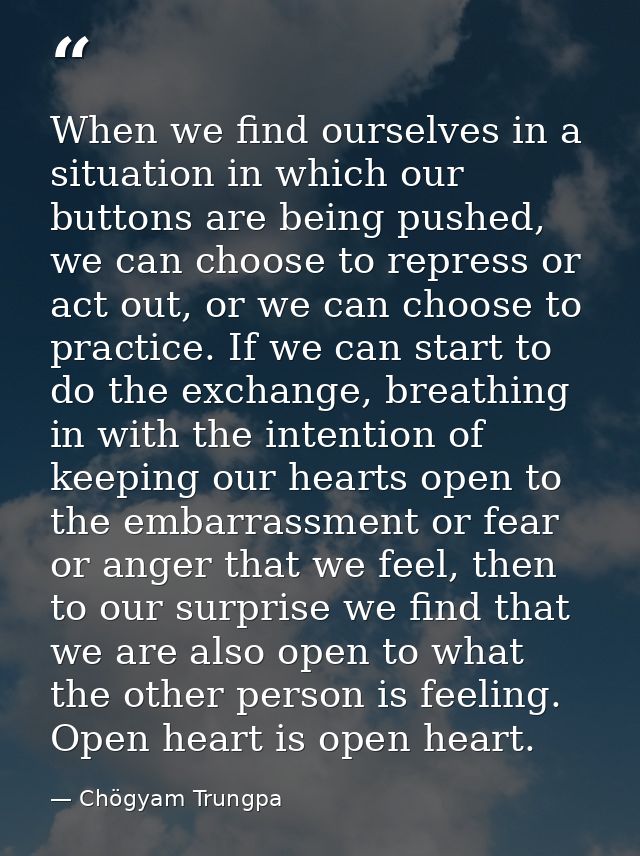 When we find ourselves in a situation in which our buttons are being pushed, we can choose to repress or act out, or we  — Chögyam Trungpa