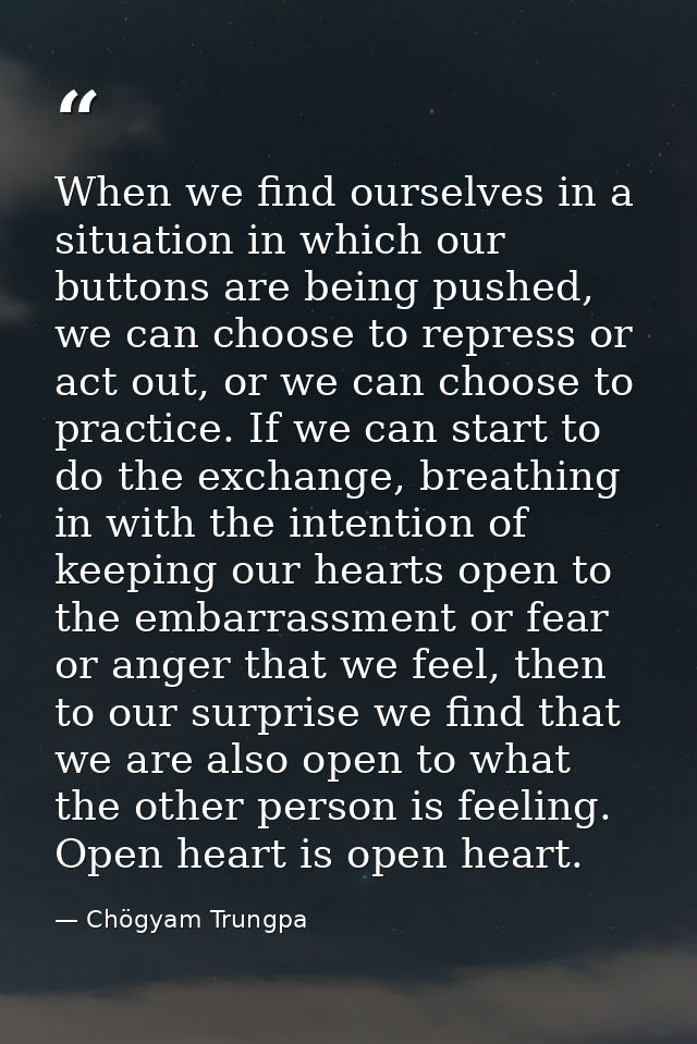 When we find ourselves in a situation in which our buttons are being pushed, we can choose to repress or act out, or we  — Chögyam Trungpa