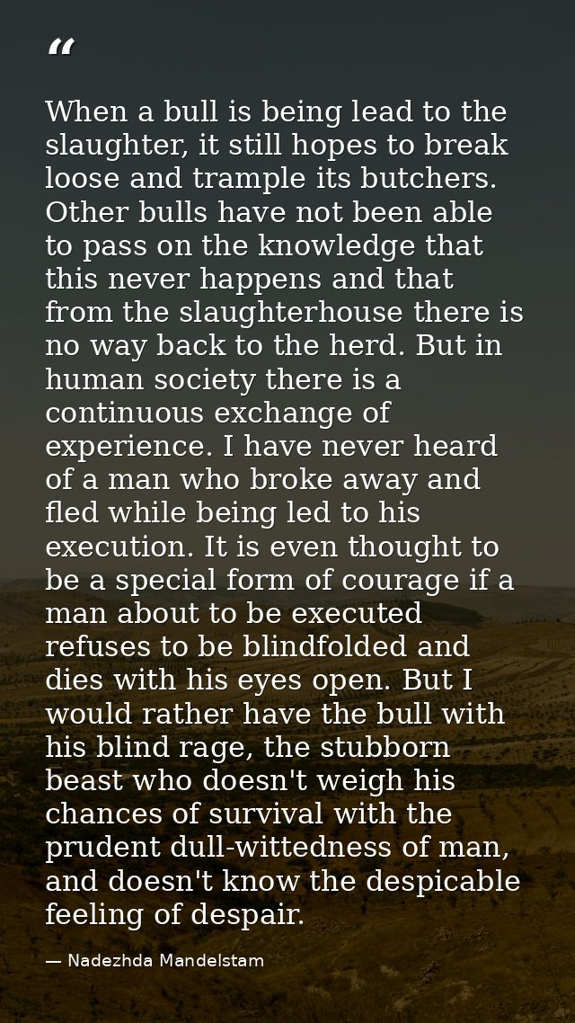 When a bull is being lead to the slaughter, it still hopes to break loose and trample its butchers. Other bulls have not — Nadezhda Mandelstam