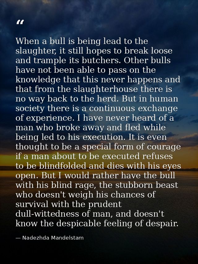 When a bull is being lead to the slaughter, it still hopes to break loose and trample its butchers. Other bulls have not — Nadezhda Mandelstam