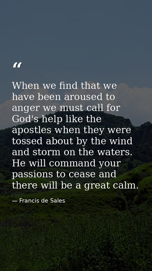 When we find that we have been aroused to anger we must call for God's help like the apostles when they were tossed abou — Francis de Sales