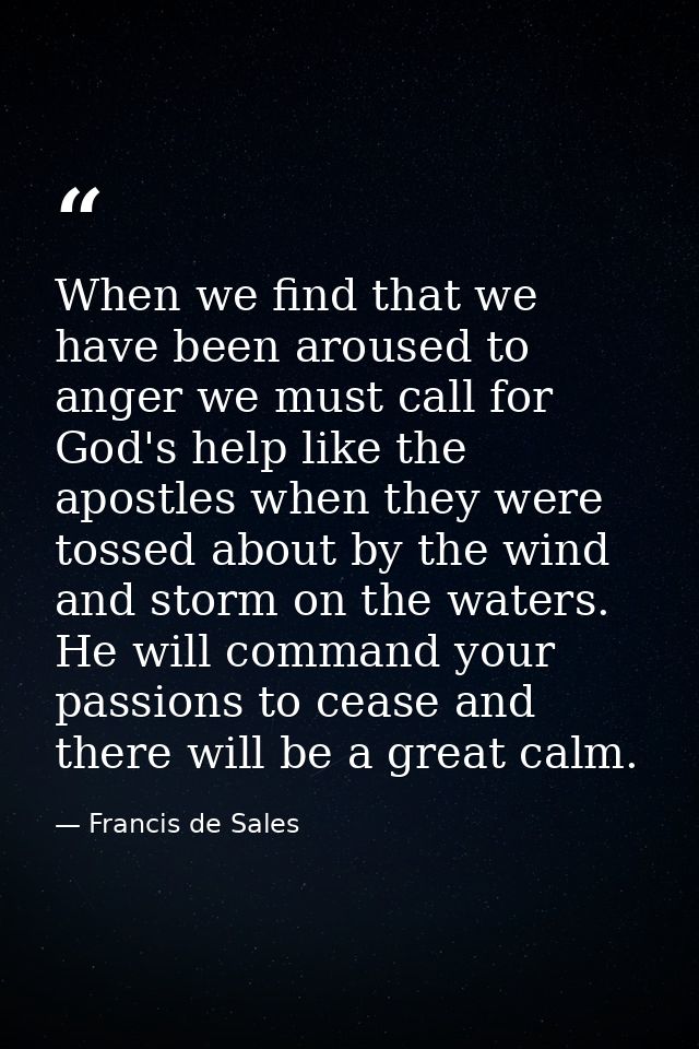 When we find that we have been aroused to anger we must call for God's help like the apostles when they were tossed abou — Francis de Sales