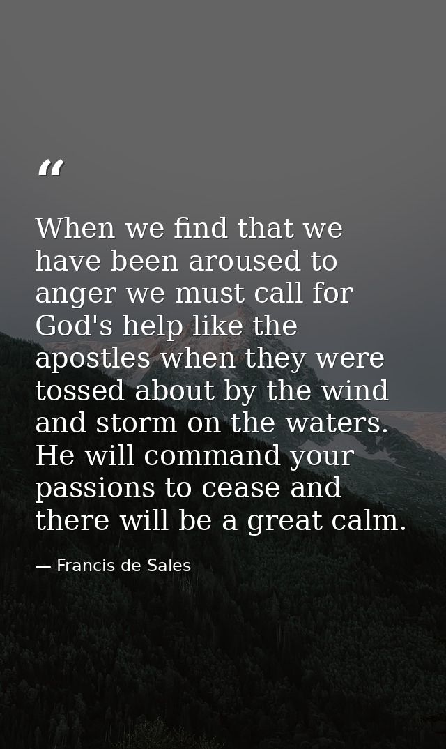 When we find that we have been aroused to anger we must call for God's help like the apostles when they were tossed abou — Francis de Sales