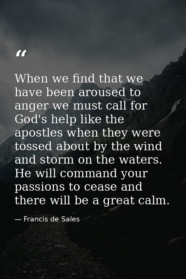 When we find that we have been aroused to anger we must call for God's help like the apostles when they were tossed abou — Francis de Sales