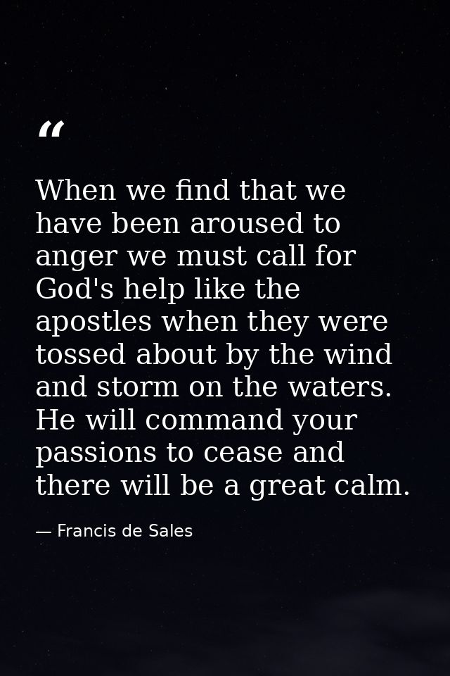 When we find that we have been aroused to anger we must call for God's help like the apostles when they were tossed abou — Francis de Sales