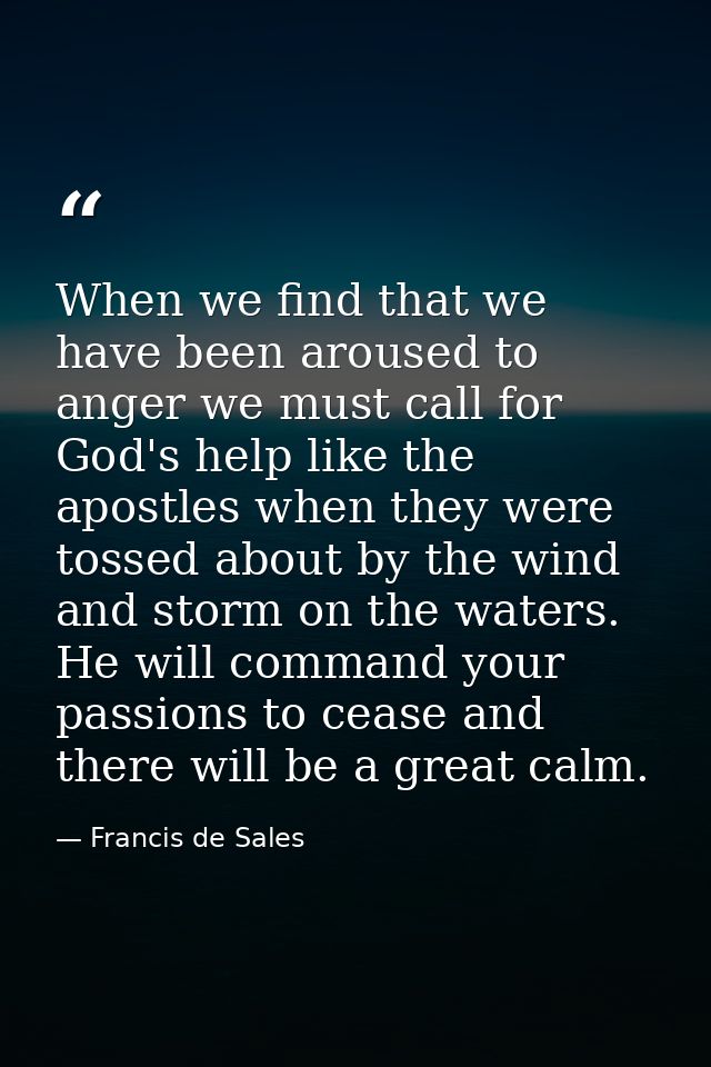 When we find that we have been aroused to anger we must call for God's help like the apostles when they were tossed abou — Francis de Sales