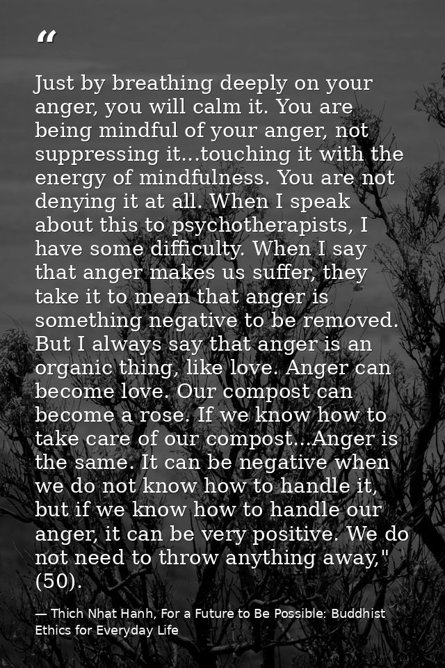 Just by breathing deeply on your anger, you will calm it. You are being mindful of your anger, not suppressing it...touc — Thich Nhat Hanh, For a Future to Be Possible: Buddhist Ethics for Everyday Life