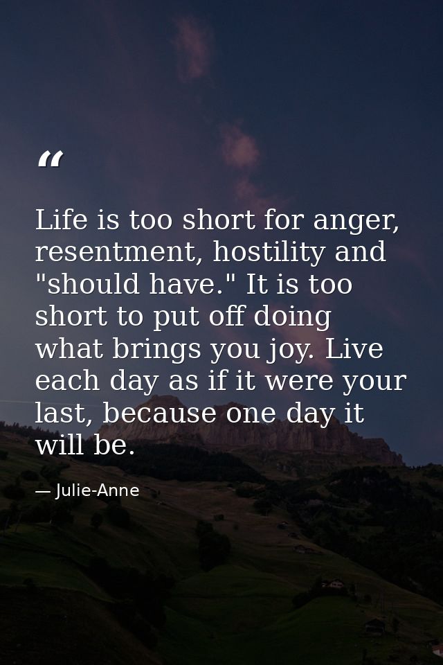 Life is too short for anger, resentment, hostility and "should have." It is too short to put off doing what brings you j — Julie-Anne