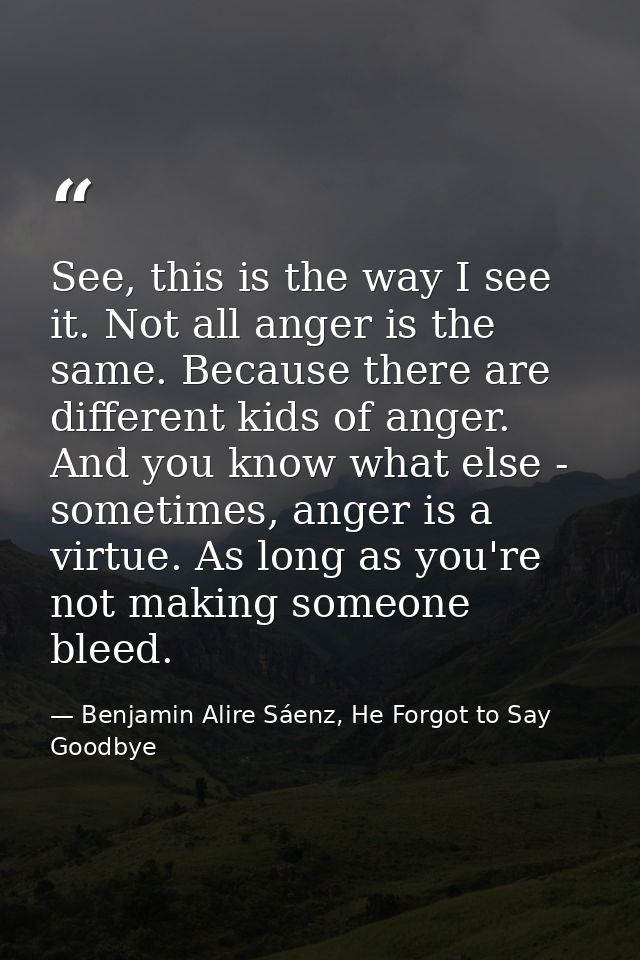 See, this is the way I see it. Not all anger is the same. Because there are different kids of anger. And you know what e — Benjamin Alire Sáenz, He Forgot to Say Goodbye
