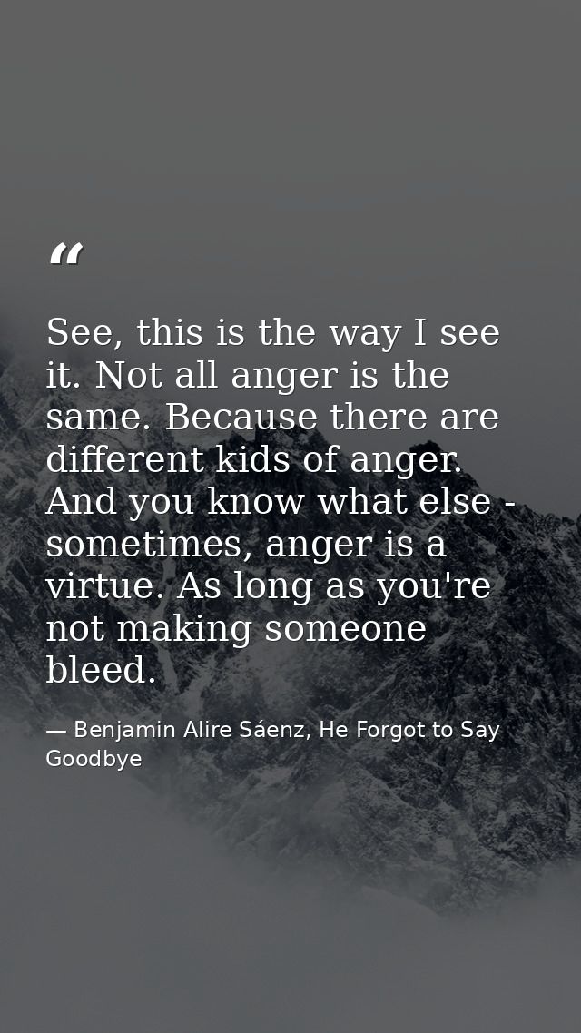 See, this is the way I see it. Not all anger is the same. Because there are different kids of anger. And you know what e — Benjamin Alire Sáenz, He Forgot to Say Goodbye