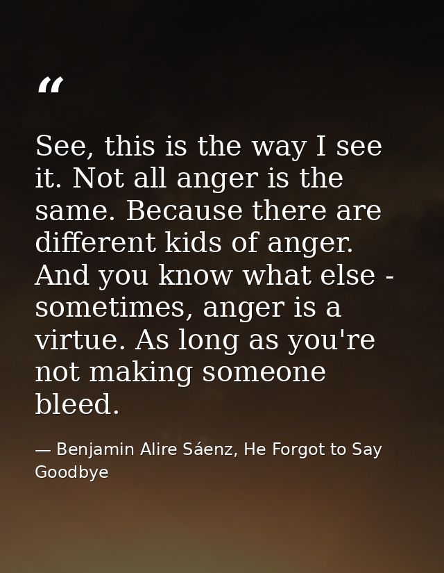 See, this is the way I see it. Not all anger is the same. Because there are different kids of anger. And you know what e — Benjamin Alire Sáenz, He Forgot to Say Goodbye
