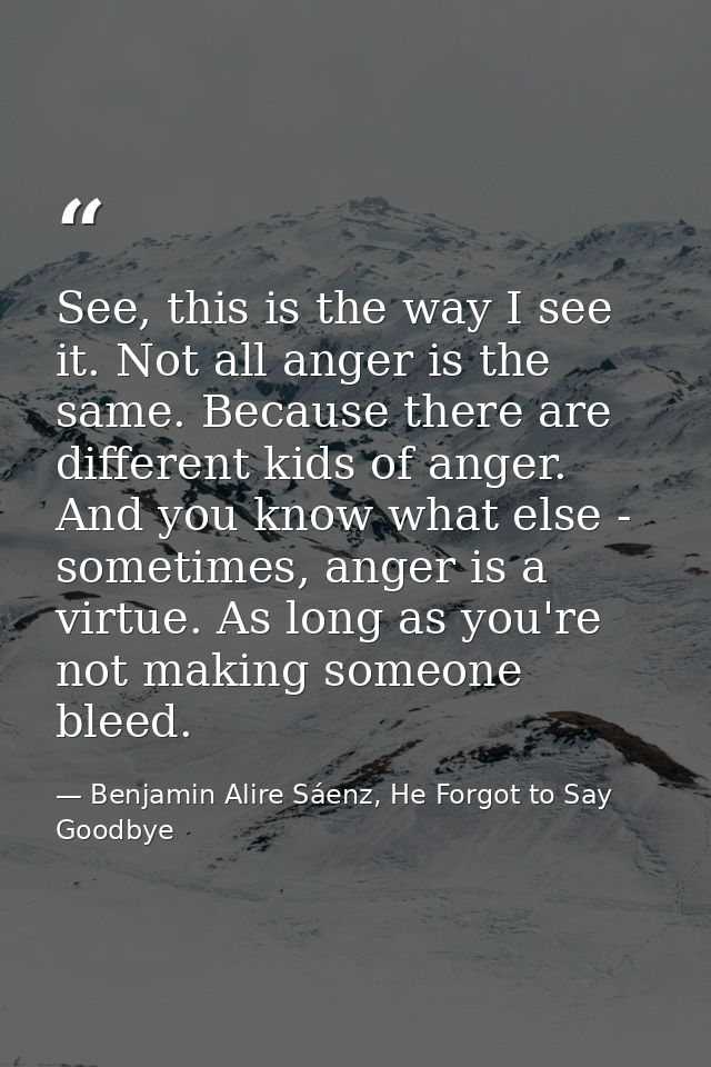 See, this is the way I see it. Not all anger is the same. Because there are different kids of anger. And you know what e — Benjamin Alire Sáenz, He Forgot to Say Goodbye