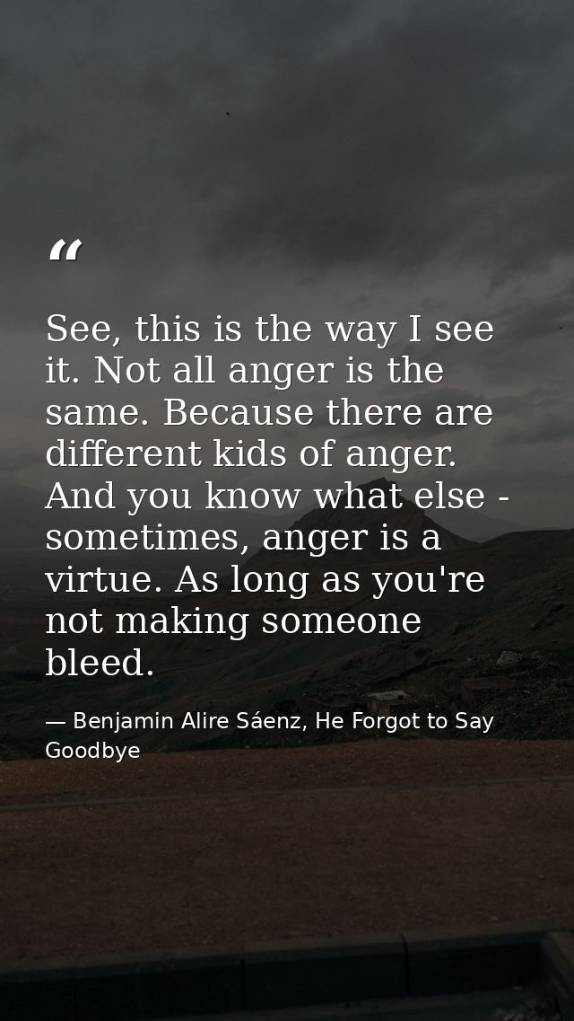 See, this is the way I see it. Not all anger is the same. Because there are different kids of anger. And you know what e — Benjamin Alire Sáenz, He Forgot to Say Goodbye