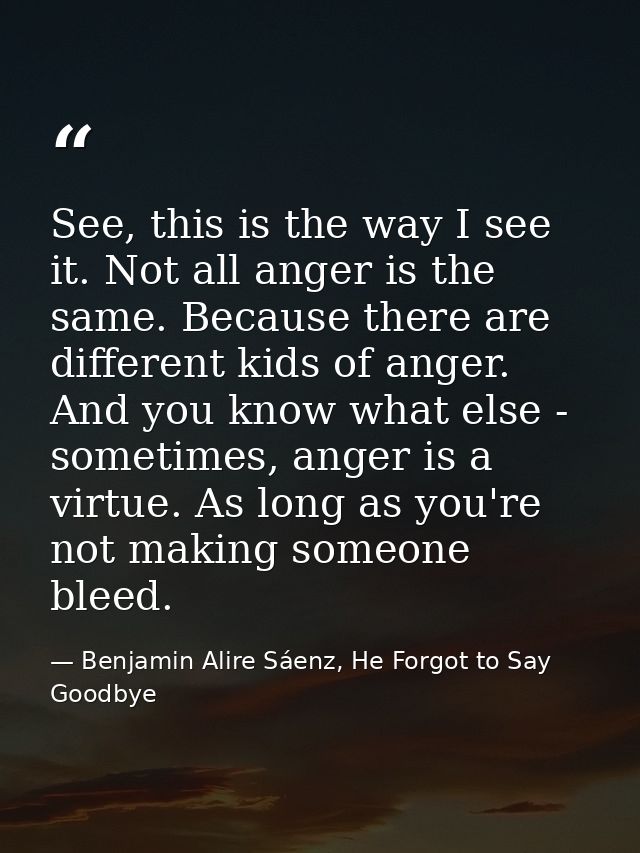 See, this is the way I see it. Not all anger is the same. Because there are different kids of anger. And you know what e — Benjamin Alire Sáenz, He Forgot to Say Goodbye