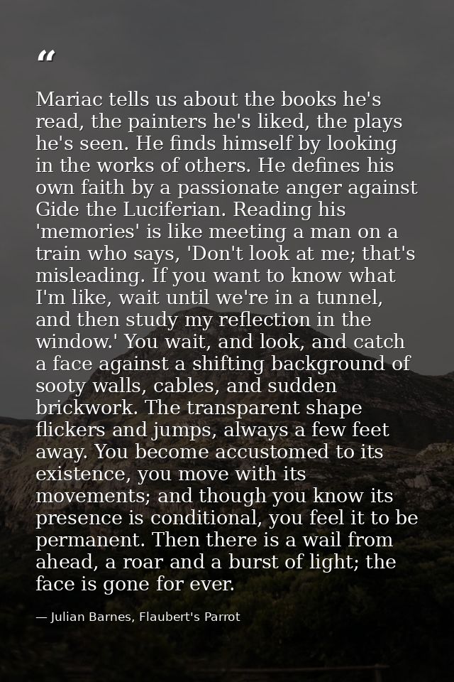 Mariac tells us about the books he's read, the painters he's liked, the plays he's seen. He finds himself by looking in  — Julian Barnes, Flaubert's Parrot