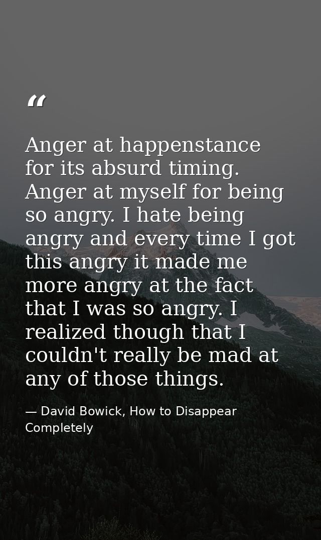 Anger at happenstance for its absurd timing. Anger at myself for being so angry. I hate being angry and every time I got — David Bowick, How to Disappear Completely