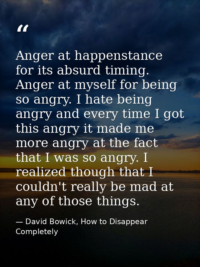 Anger at happenstance for its absurd timing. Anger at myself for being so angry. I hate being angry and every time I got — David Bowick, How to Disappear Completely