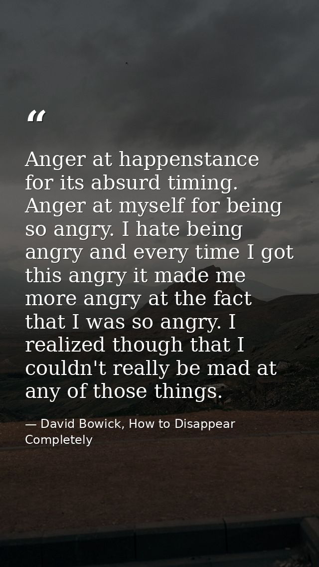 Anger at happenstance for its absurd timing. Anger at myself for being so angry. I hate being angry and every time I got — David Bowick, How to Disappear Completely