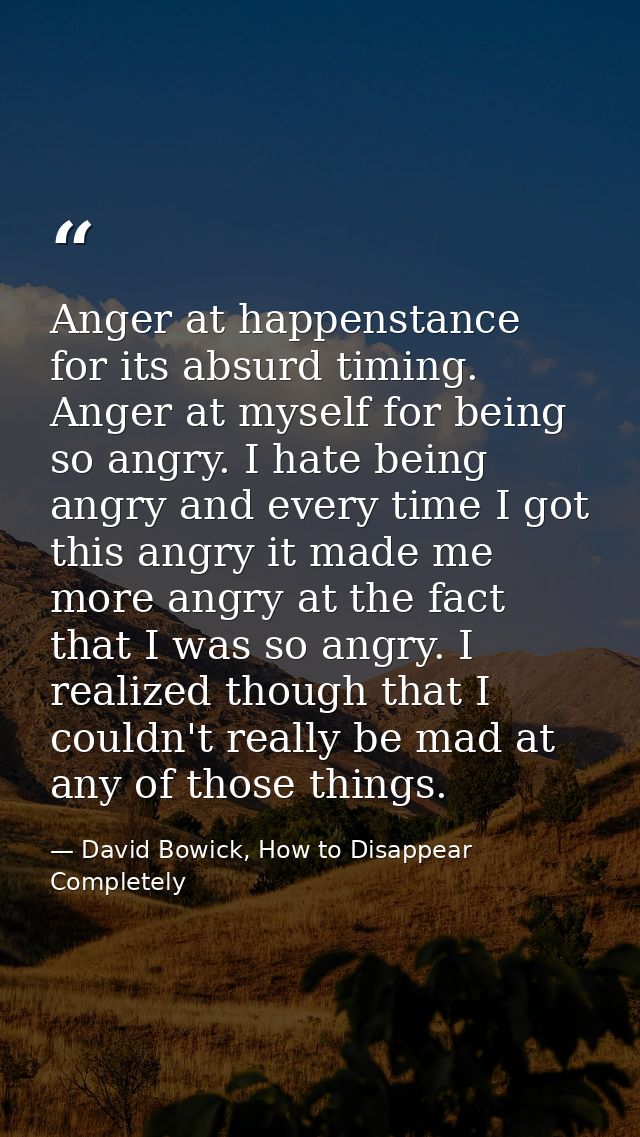 Anger at happenstance for its absurd timing. Anger at myself for being so angry. I hate being angry and every time I got — David Bowick, How to Disappear Completely