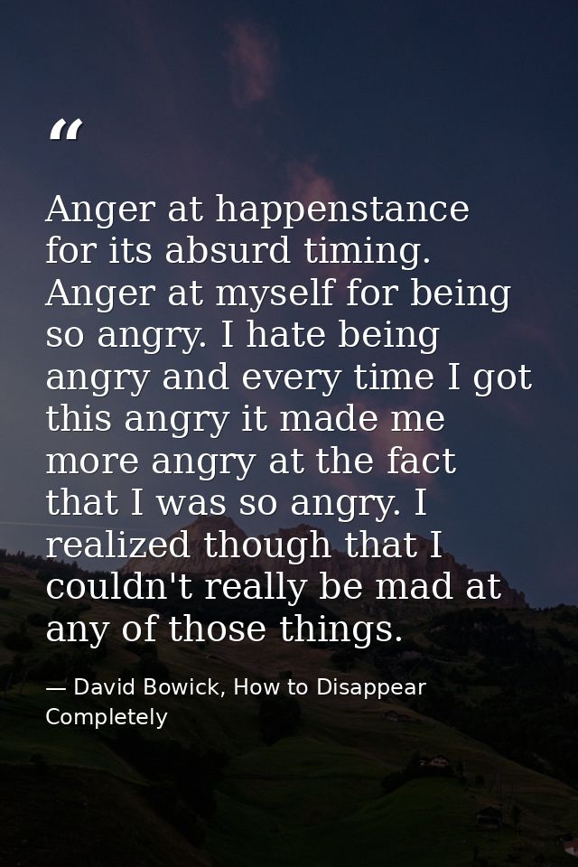 Anger at happenstance for its absurd timing. Anger at myself for being so angry. I hate being angry and every time I got — David Bowick, How to Disappear Completely