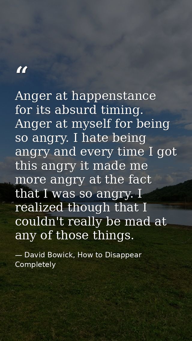 Anger at happenstance for its absurd timing. Anger at myself for being so angry. I hate being angry and every time I got — David Bowick, How to Disappear Completely