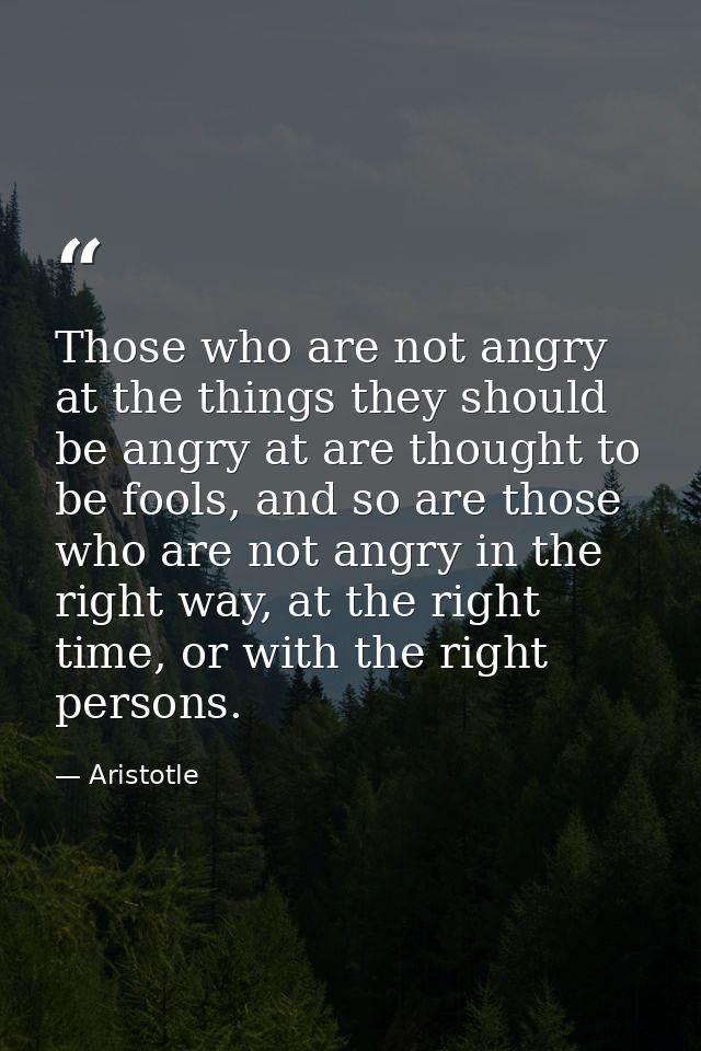 Those who are not angry at the things they should be angry at are thought to be fools, and so are those who are not angr — Aristotle