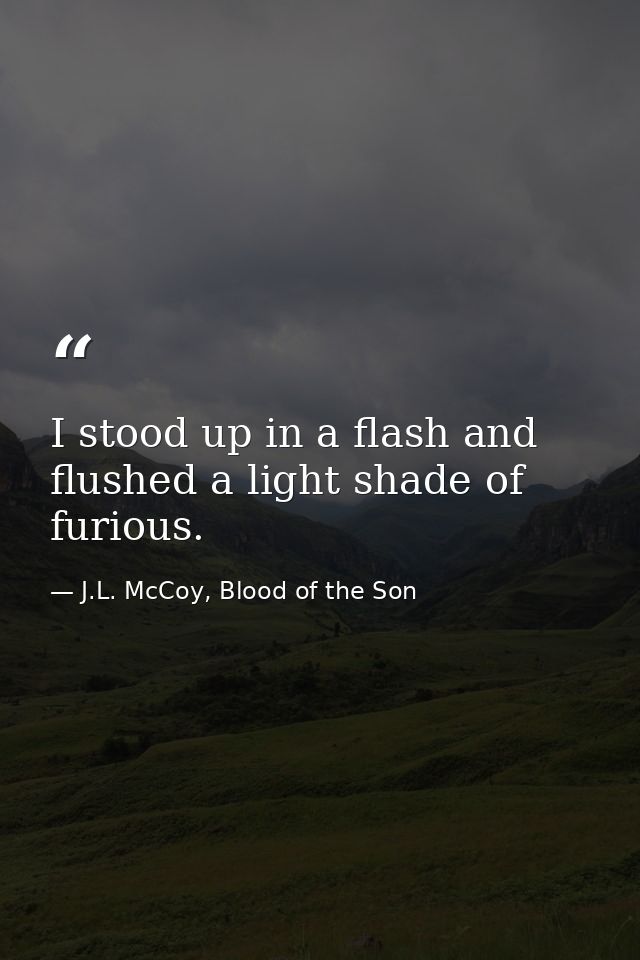 I stood up in a flash and flushed a light shade of furious. — J.L. McCoy, Blood of the Son