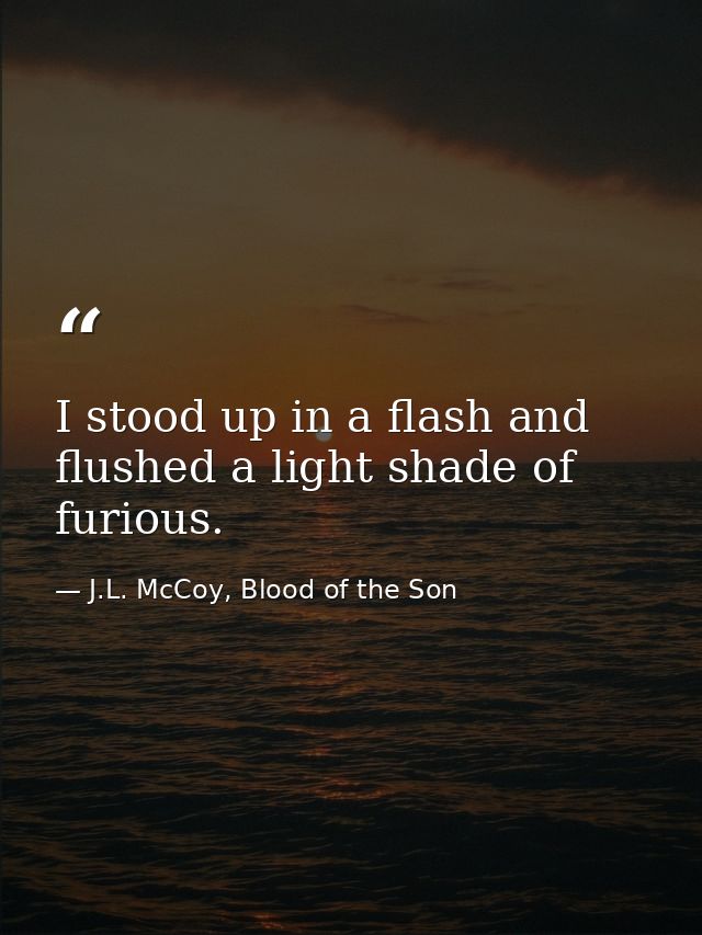 I stood up in a flash and flushed a light shade of furious. — J.L. McCoy, Blood of the Son