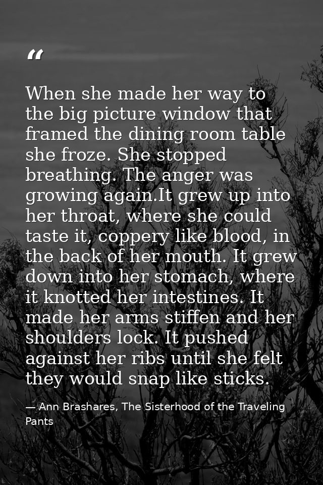 When she made her way to the big picture window that framed the dining room table she froze. She stopped breathing. The  — Ann Brashares, The Sisterhood of the Traveling Pants