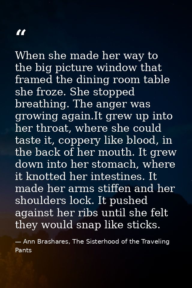When she made her way to the big picture window that framed the dining room table she froze. She stopped breathing. The  — Ann Brashares, The Sisterhood of the Traveling Pants