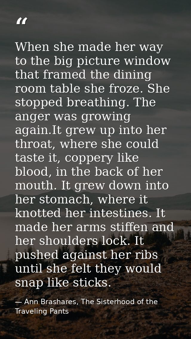 When she made her way to the big picture window that framed the dining room table she froze. She stopped breathing. The  — Ann Brashares, The Sisterhood of the Traveling Pants