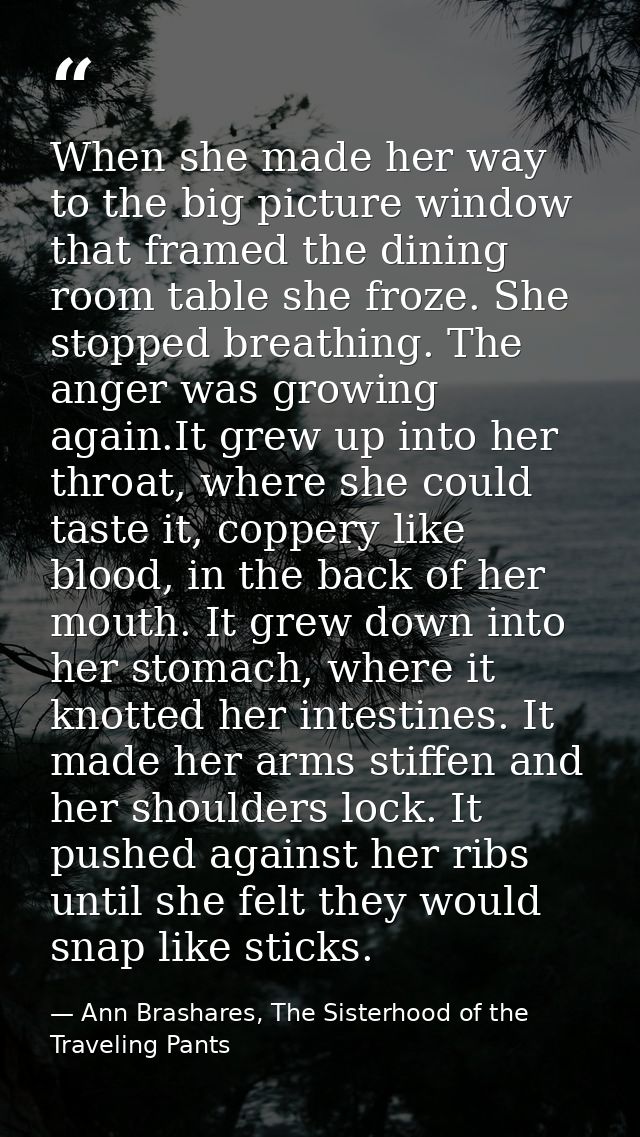 When she made her way to the big picture window that framed the dining room table she froze. She stopped breathing. The  — Ann Brashares, The Sisterhood of the Traveling Pants