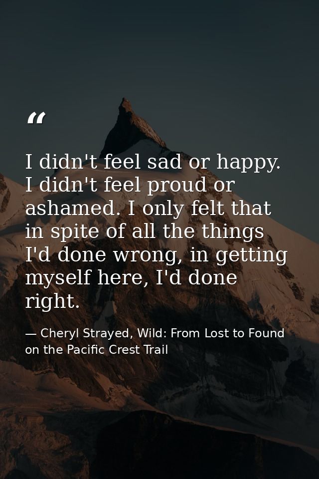 I didn't feel sad or happy. I didn't feel proud or ashamed. I only felt that in spite of all the things I'd done wrong,  — Cheryl Strayed, Wild: From Lost to Found on the Pacific Crest Trail