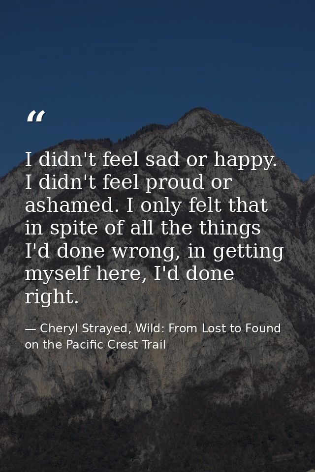 I didn't feel sad or happy. I didn't feel proud or ashamed. I only felt that in spite of all the things I'd done wrong,  — Cheryl Strayed, Wild: From Lost to Found on the Pacific Crest Trail