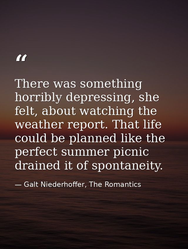 There was something horribly depressing, she felt, about watching the weather report. That life could be planned like th — Galt Niederhoffer, The Romantics