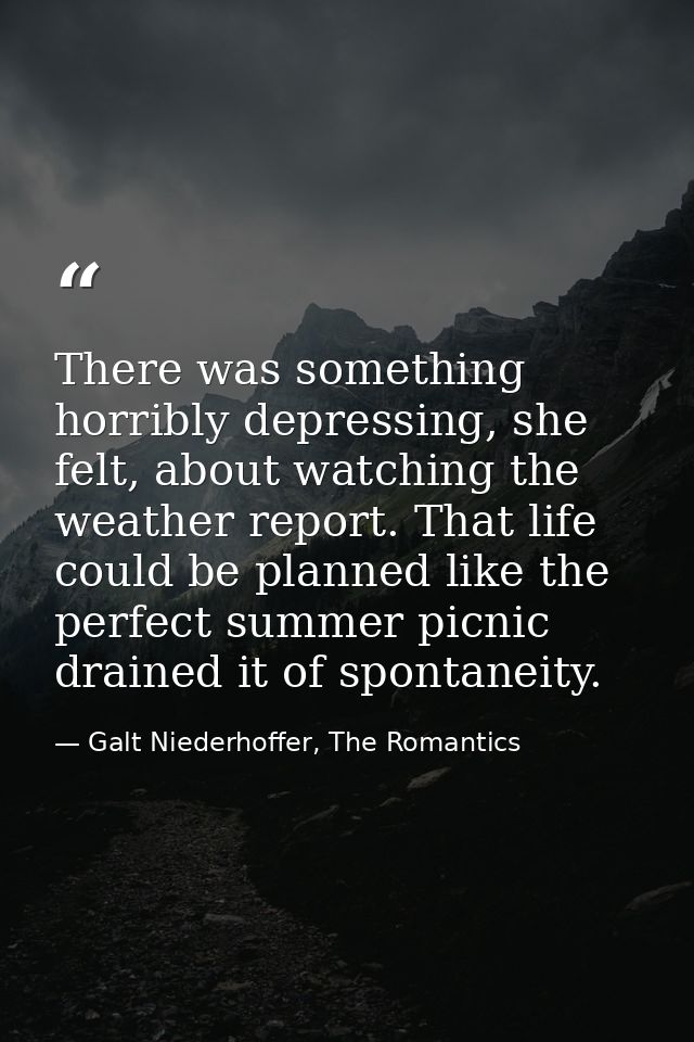 There was something horribly depressing, she felt, about watching the weather report. That life could be planned like th — Galt Niederhoffer, The Romantics