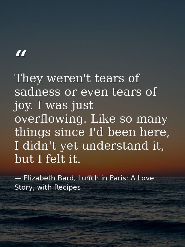 They weren't tears of sadness or even tears of joy. I was just overflowing. Like so many things since I'd been here, I d — Elizabeth Bard, Lunch in Paris: A Love Story, with Recipes