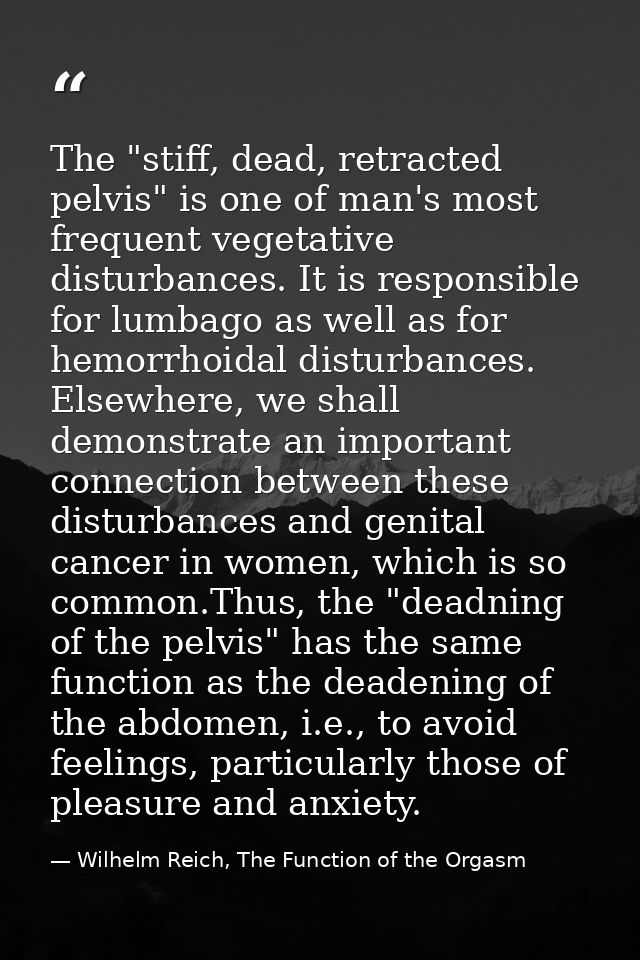 The "stiff, dead, retracted pelvis" is one of man's most frequent vegetative disturbances. It is responsible for lumbago — Wilhelm Reich, The Function of the Orgasm