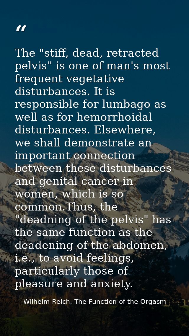 The "stiff, dead, retracted pelvis" is one of man's most frequent vegetative disturbances. It is responsible for lumbago — Wilhelm Reich, The Function of the Orgasm