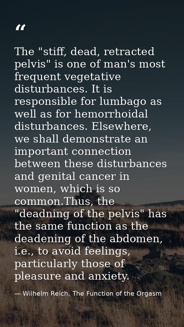 The "stiff, dead, retracted pelvis" is one of man's most frequent vegetative disturbances. It is responsible for lumbago — Wilhelm Reich, The Function of the Orgasm
