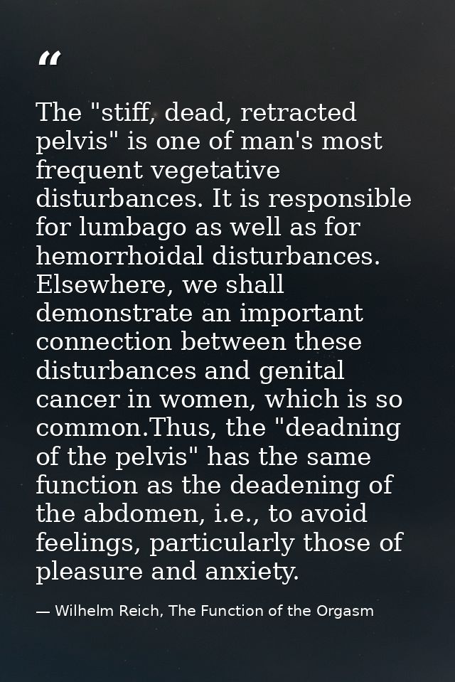 The "stiff, dead, retracted pelvis" is one of man's most frequent vegetative disturbances. It is responsible for lumbago — Wilhelm Reich, The Function of the Orgasm
