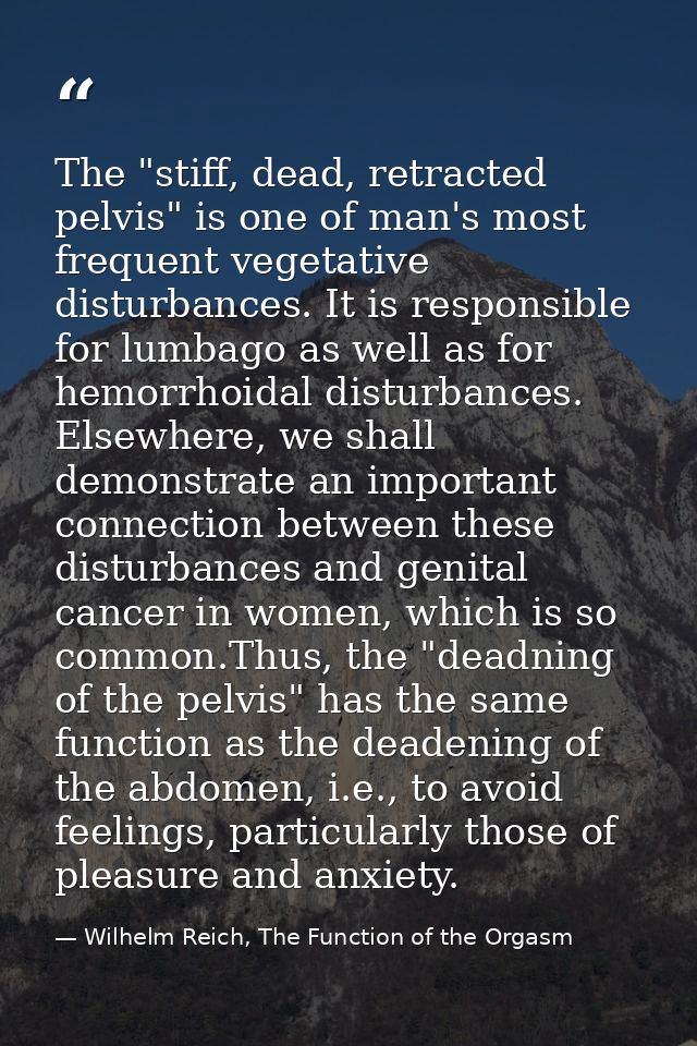 The "stiff, dead, retracted pelvis" is one of man's most frequent vegetative disturbances. It is responsible for lumbago — Wilhelm Reich, The Function of the Orgasm