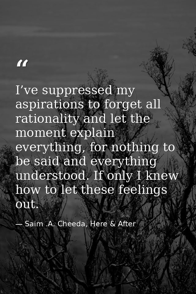 I’ve suppressed my aspirations to forget all rationality and let the moment explain everything, for nothing to be said a — Saim .A. Cheeda, Here & After