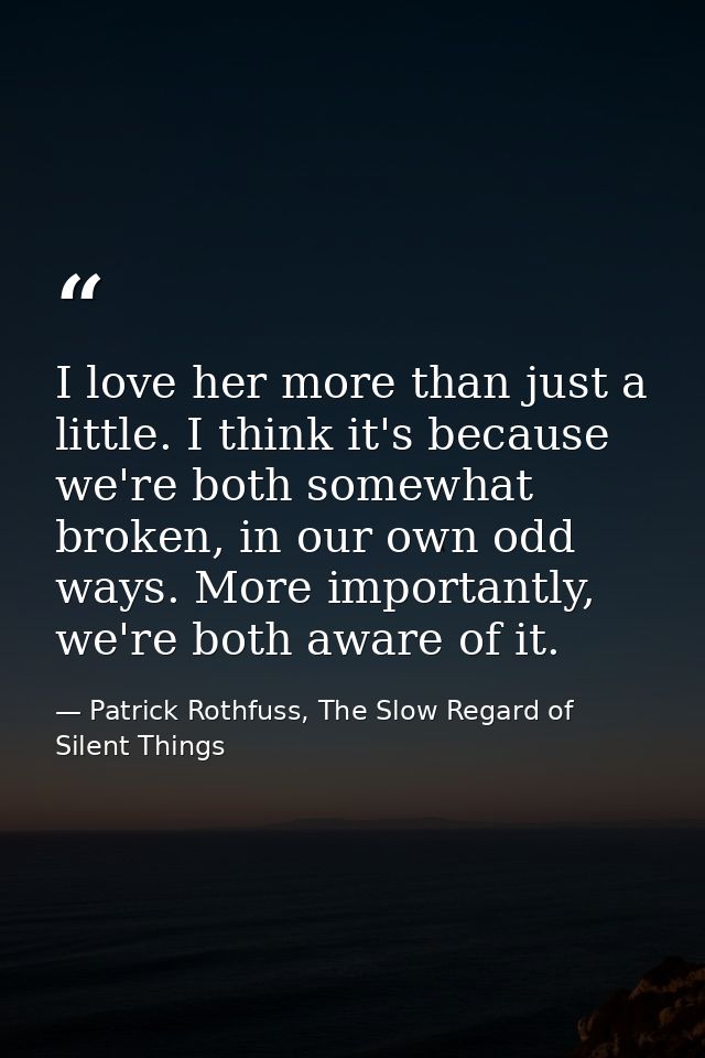 I love her more than just a little. I think it's because we're both somewhat broken, in our own odd ways. More important — Patrick Rothfuss, The Slow Regard of Silent Things