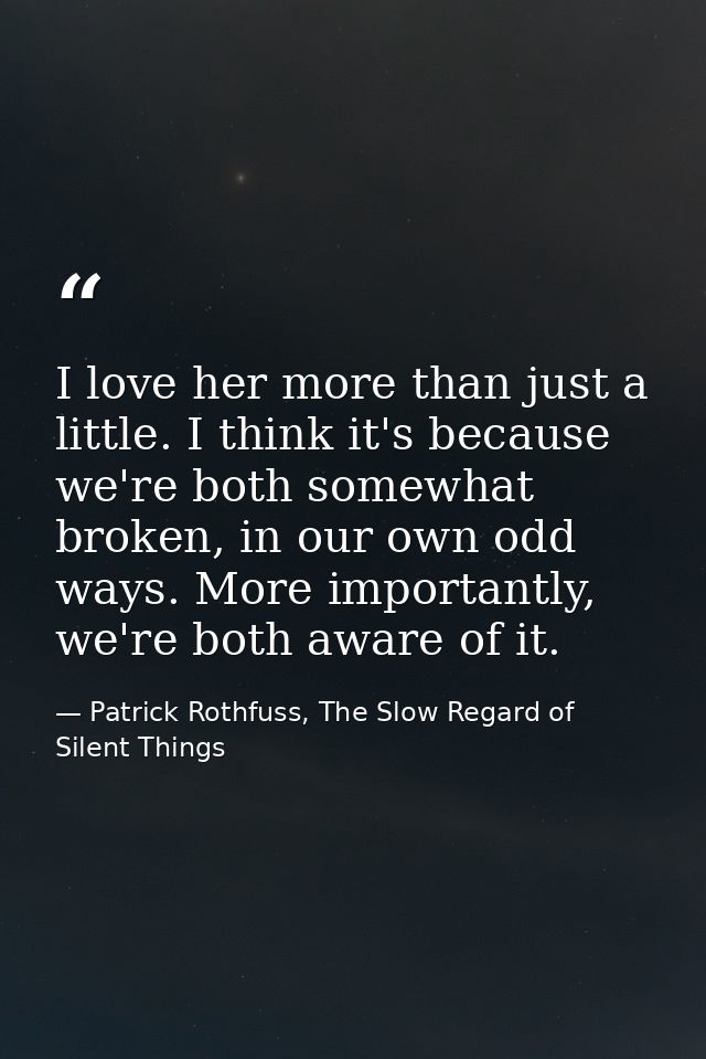 I love her more than just a little. I think it's because we're both somewhat broken, in our own odd ways. More important — Patrick Rothfuss, The Slow Regard of Silent Things